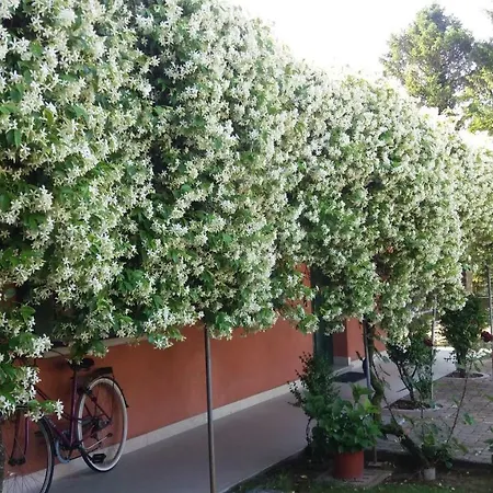 דירה Dreon Fossalta di Portogruaro